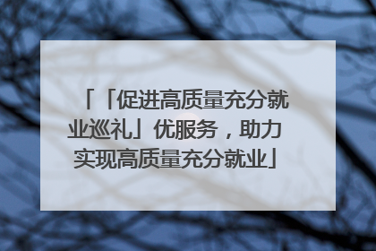 「促进高质量充分就业巡礼」优服务，助力实现高质量充分就业