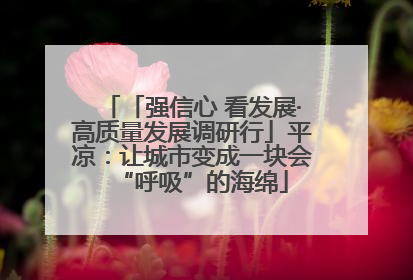 「强信心 看发展·高质量发展调研行」平凉：让城市变成一块会“呼吸”的海绵