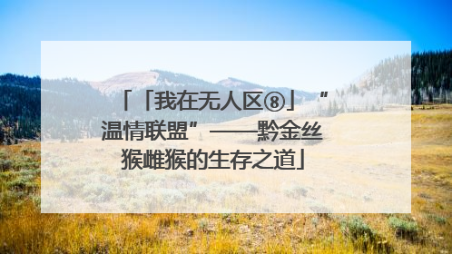 「我在无人区⑧」“温情联盟”——黔金丝猴雌猴的生存之道