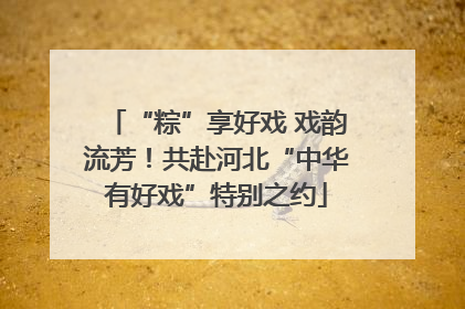 “粽”享好戏 戏韵流芳！共赴河北“中华有好戏”特别之约