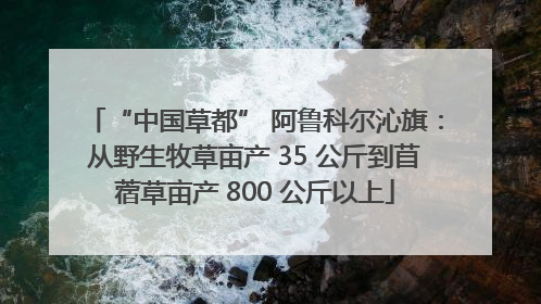 “中国草都” 阿鲁科尔沁旗：从野生牧草亩产 35 公斤到苜蓿草亩产 800 公斤以上