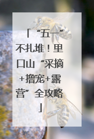 “五一”不扎堆！里口山“采摘+撸宠+露营”全攻略