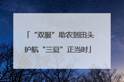 “双服”助农到田头 护航“三夏”正当时