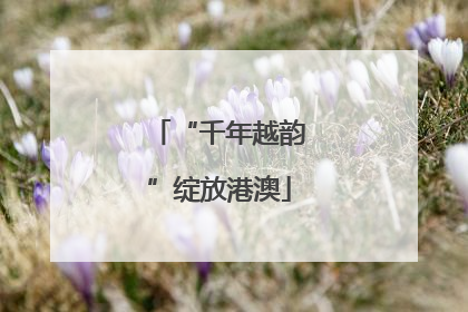 “千年越韵”绽放港澳