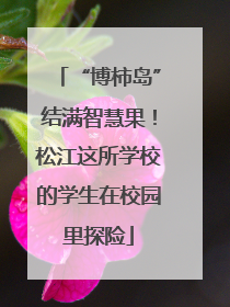 “博柿岛”结满智慧果！松江这所学校的学生在校园里探险