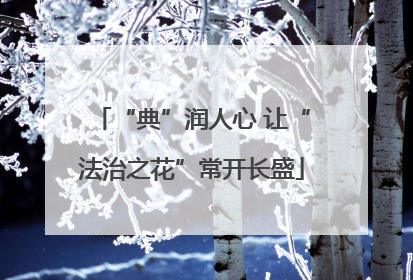 “典”润人心 让“法治之花”常开长盛