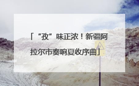 “孜”味正浓！新疆阿拉尔市奏响夏收序曲