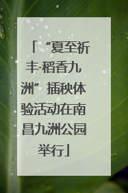 “夏至祈丰·稻香九洲”插秧体验活动在南昌九洲公园举行