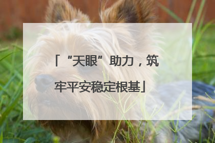 “天眼”助力，筑牢平安稳定根基