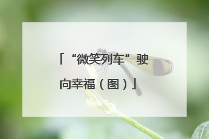 “微笑列车”驶向幸福（图）