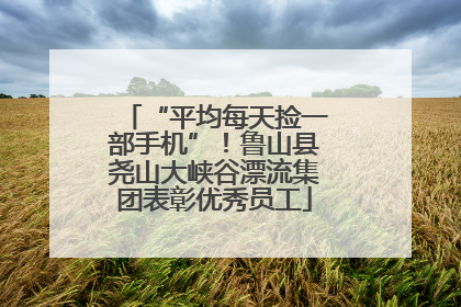 “平均每天捡一部手机”！鲁山县尧山大峡谷漂流集团表彰优秀员工