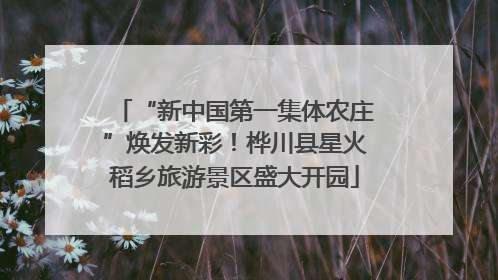 “新中国第一集体农庄”焕发新彩！桦川县星火稻乡旅游景区盛大开园