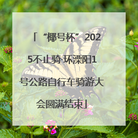 “椰号杯”2025不止骑·环溧阳1号公路自行车骑游大会圆满结束