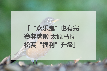 “欢乐跑”也有完赛奖牌啦 太原马拉松赛“福利”升级