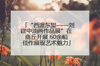 “西渡东望——刘建中油画作品展”在商丘开展 60余幅佳作展现艺术魅力
