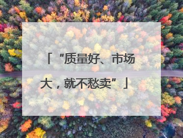 “质量好、市场大，就不愁卖”