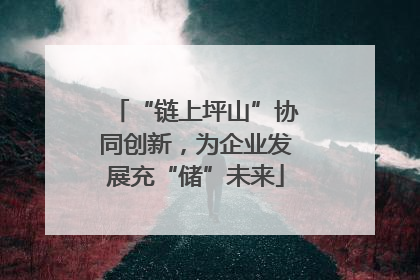 “链上坪山”协同创新，为企业发展充“储”未来