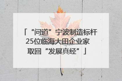 “问道”宁波制造标杆 25位临海大田企业家取回“发展真经”