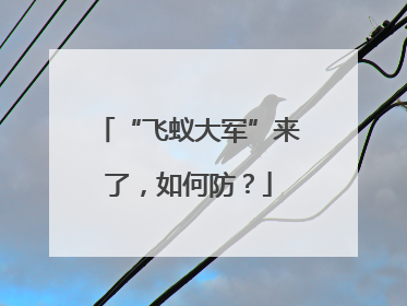 “飞蚁大军”来了，如何防？