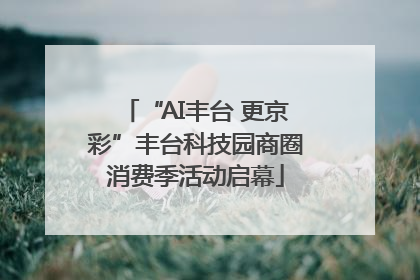 “AI丰台 更京彩”丰台科技园商圈消费季活动启幕