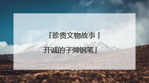 珍贵文物故事丨开诚的子弹钢笔