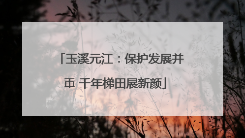 玉溪元江：保护发展并重 千年梯田展新颜