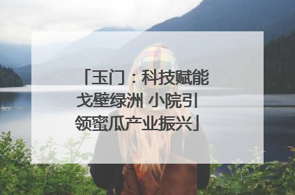 玉门：科技赋能戈壁绿洲 小院引领蜜瓜产业振兴