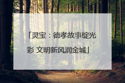 灵宝：德孝故事绽光彩 文明新风润金城