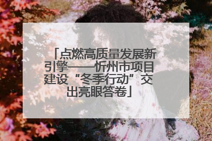 点燃高质量发展新引擎——忻州市项目建设“冬季行动”交出亮眼答卷