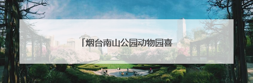烟台南山公园动物园喜迎上海长颈鹿“新娘”