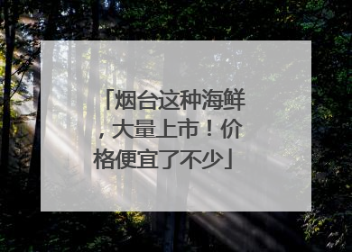 烟台这种海鲜，大量上市！价格便宜了不少