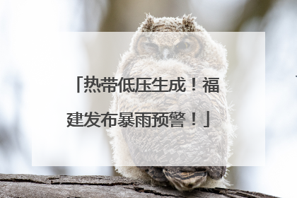 热带低压生成！福建发布暴雨预警！