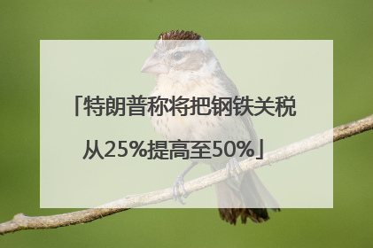 特朗普称将把钢铁关税从25%提高至50%