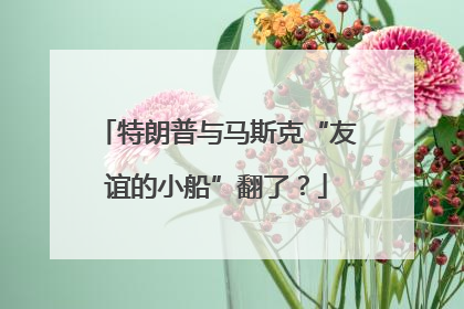 特朗普与马斯克“友谊的小船”翻了？