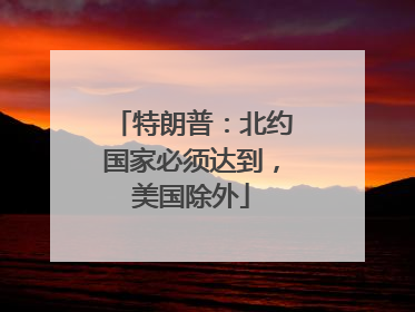 特朗普：北约国家必须达到，美国除外