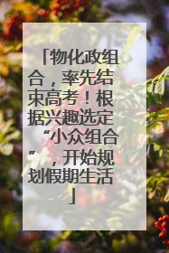 物化政组合，率先结束高考！根据兴趣选定“小众组合”，开始规划假期生活