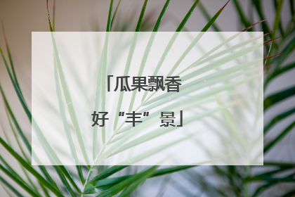 瓜果飘香 好“丰”景