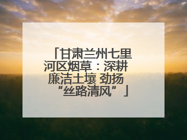 甘肃兰州七里河区烟草：深耕廉洁土壤 劲扬“丝路清风”