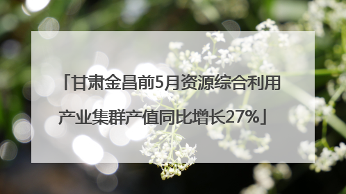 甘肃金昌前5月资源综合利用产业集群产值同比增长27%