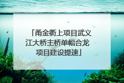 甬金衢上项目武义江大桥主桥单幅合龙 项目建设提速