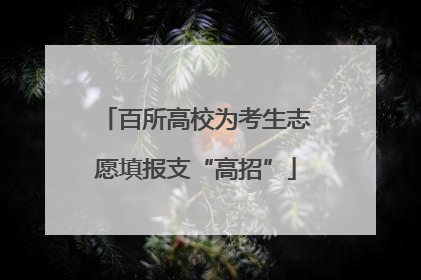 百所高校为考生志愿填报支“高招”