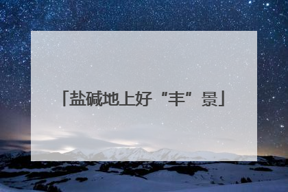 盐碱地上好“丰”景