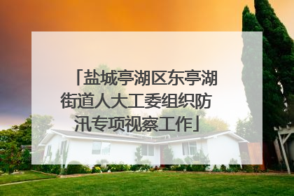 盐城亭湖区东亭湖街道人大工委组织防汛专项视察工作