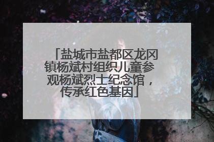 盐城市盐都区龙冈镇杨斌村组织儿童参观杨斌烈士纪念馆，传承红色基因