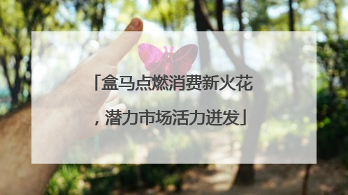 盒马点燃消费新火花，潜力市场活力迸发