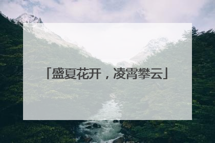 盛夏花开，凌霄攀云