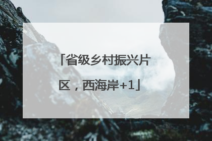 省级乡村振兴片区，西海岸+1