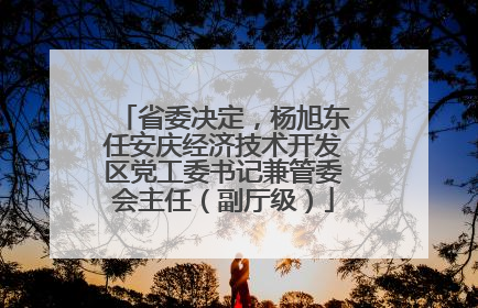 省委决定，杨旭东任安庆经济技术开发区党工委书记兼管委会主任（副厅级）