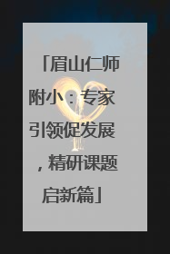 眉山仁师附小：专家引领促发展，精研课题启新篇