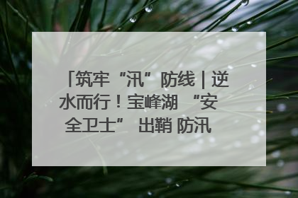 筑牢“汛”防线｜逆水而行！宝峰湖 “安全卫士” 出鞘 防汛应急再添硬核力量